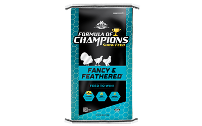 Fancy & Feathered®