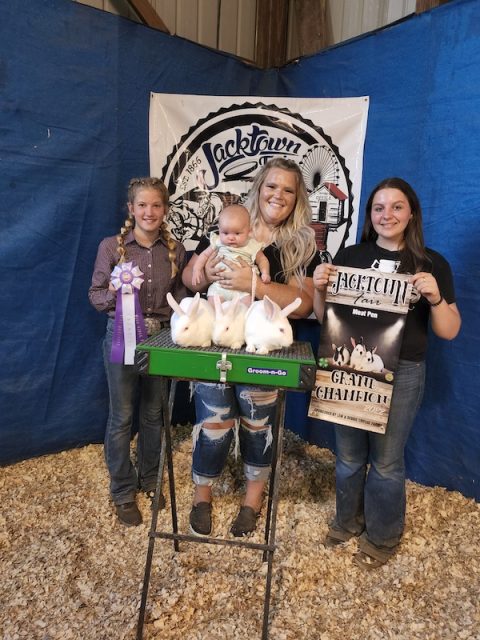 Rabbit Winners - Formula of Champions