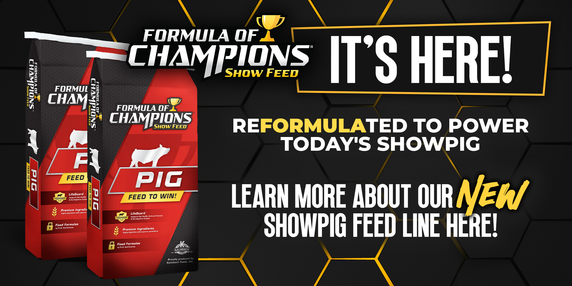 FOC New Line - It's Here